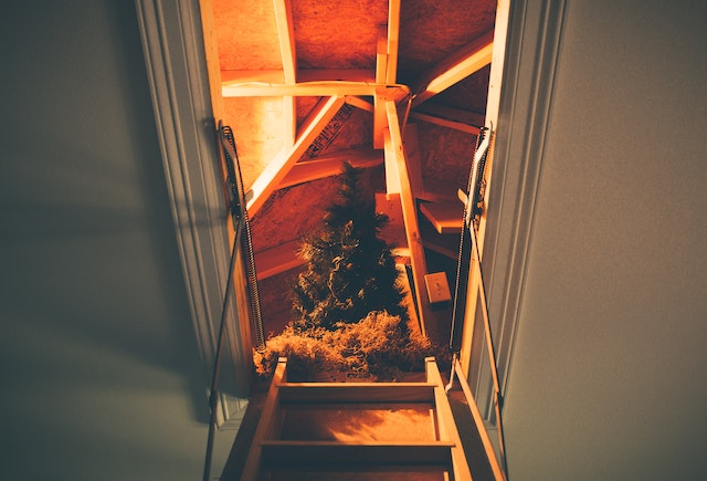 What To Do When Attic Has Water Damage - Your Guide To Tennessee Remediation Services